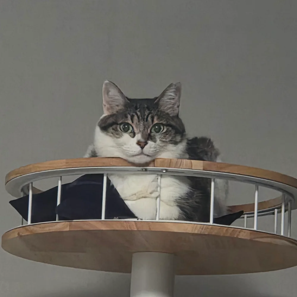 지켜보고있다