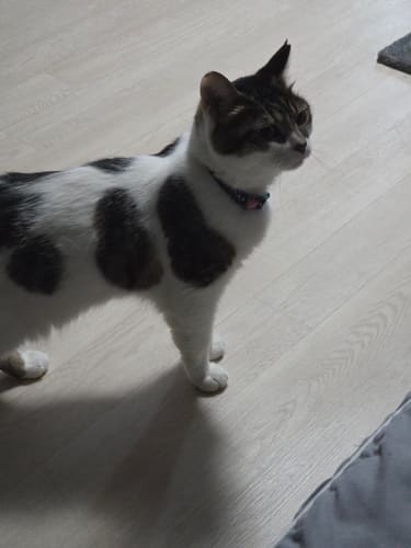 올라가도 문제 없겠지?