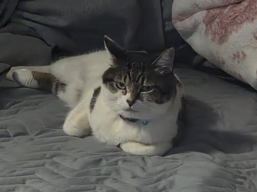 뭐?